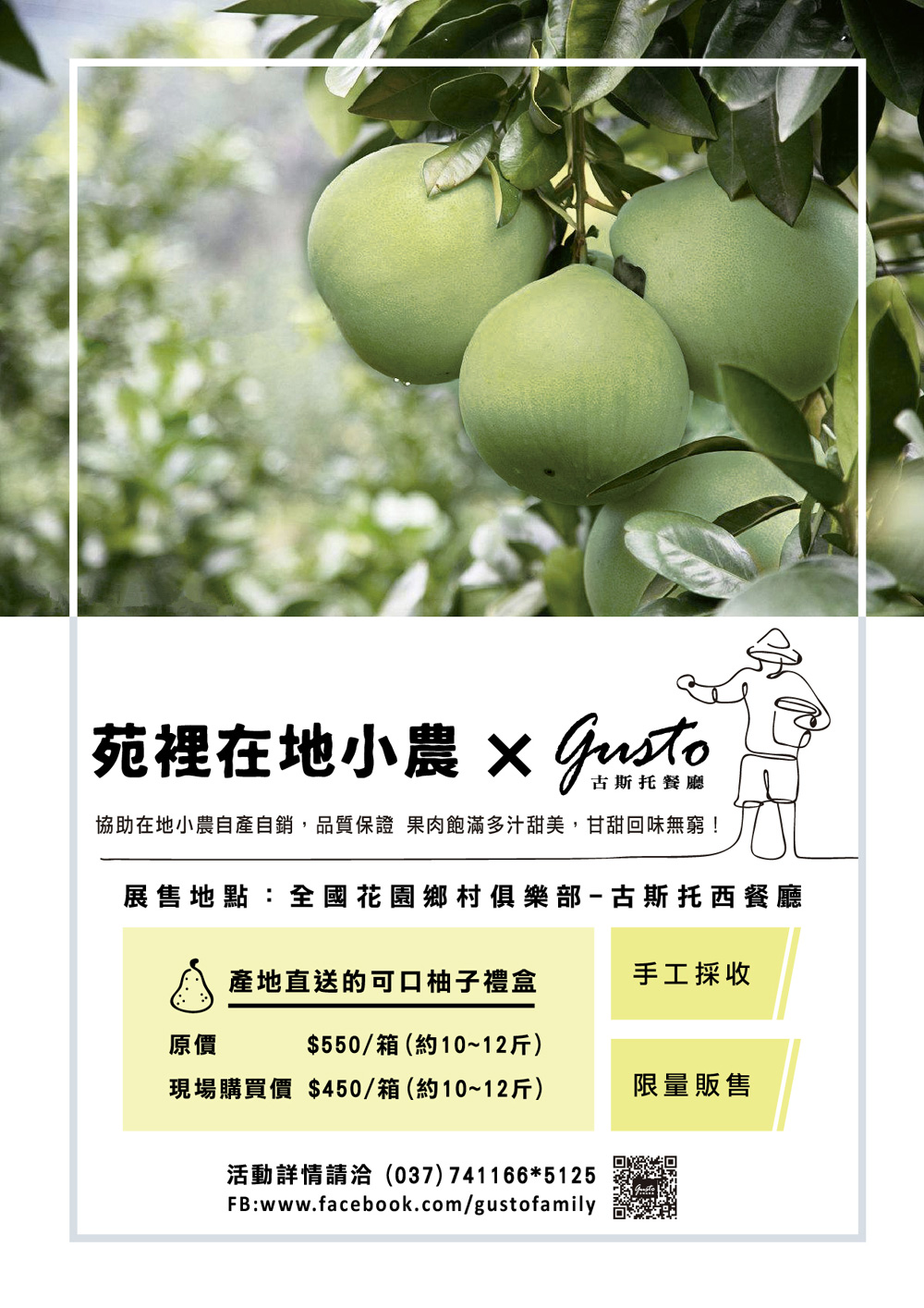 小農柚子 小農柚子
